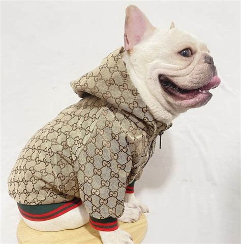 gucci puppy sweater|designer dog coats Gucci.